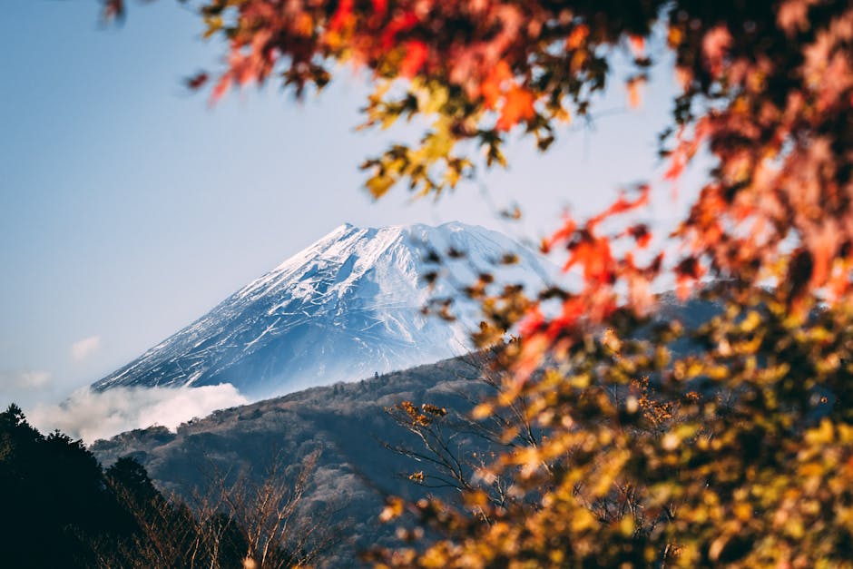 日本富士山远眺