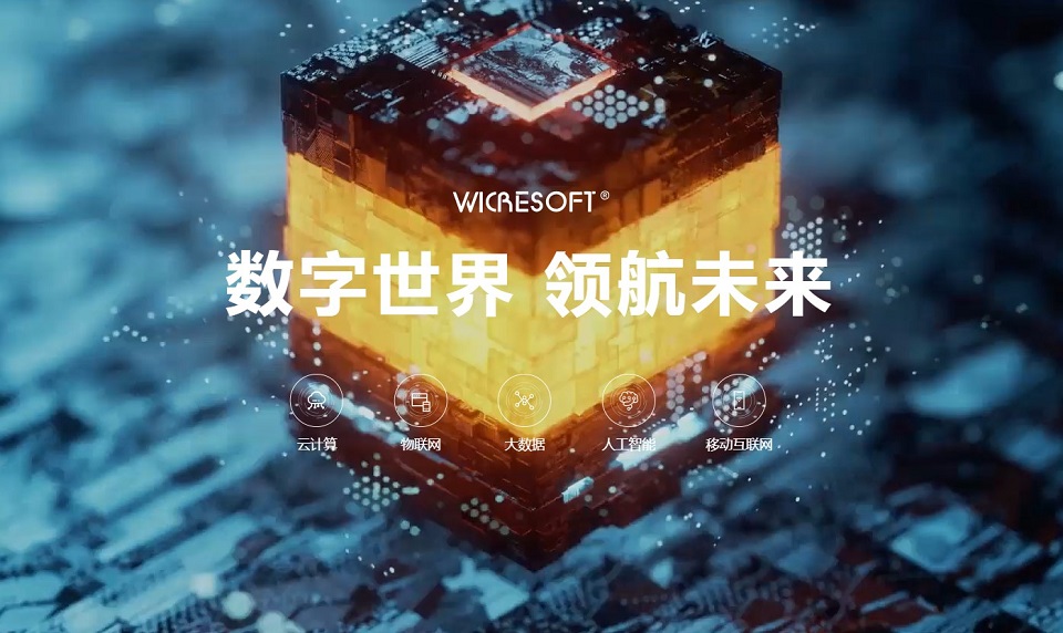 微创Wicresoft